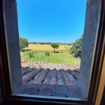 Violino Semesterbostad *