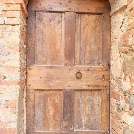 Violino Sinalunga