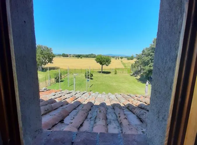 Violino Casa vacanze *