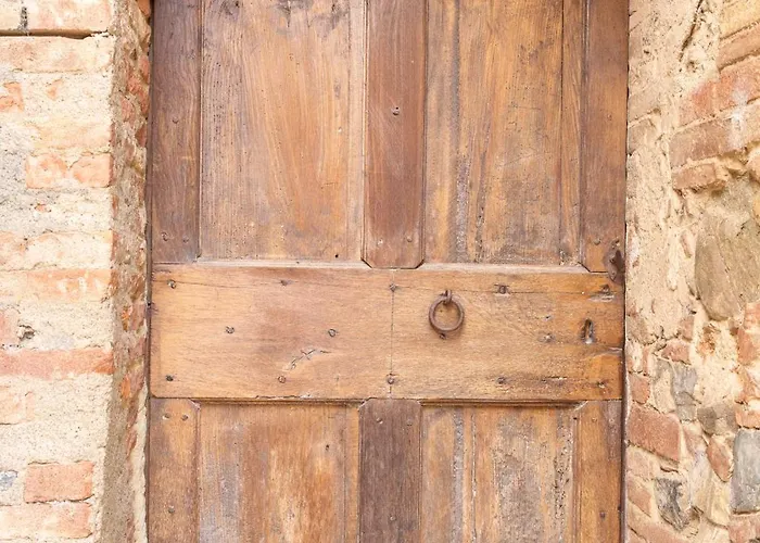 Violino 시나룬가