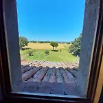 Violino Ferienhaus *