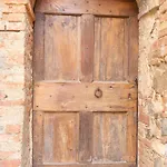 Violino Sinalunga